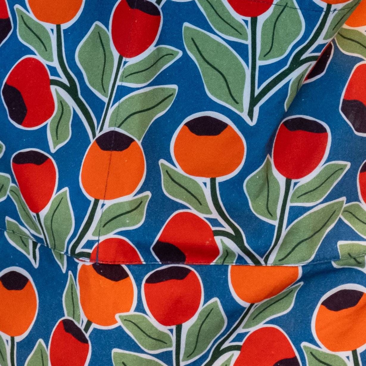 Rose Hips